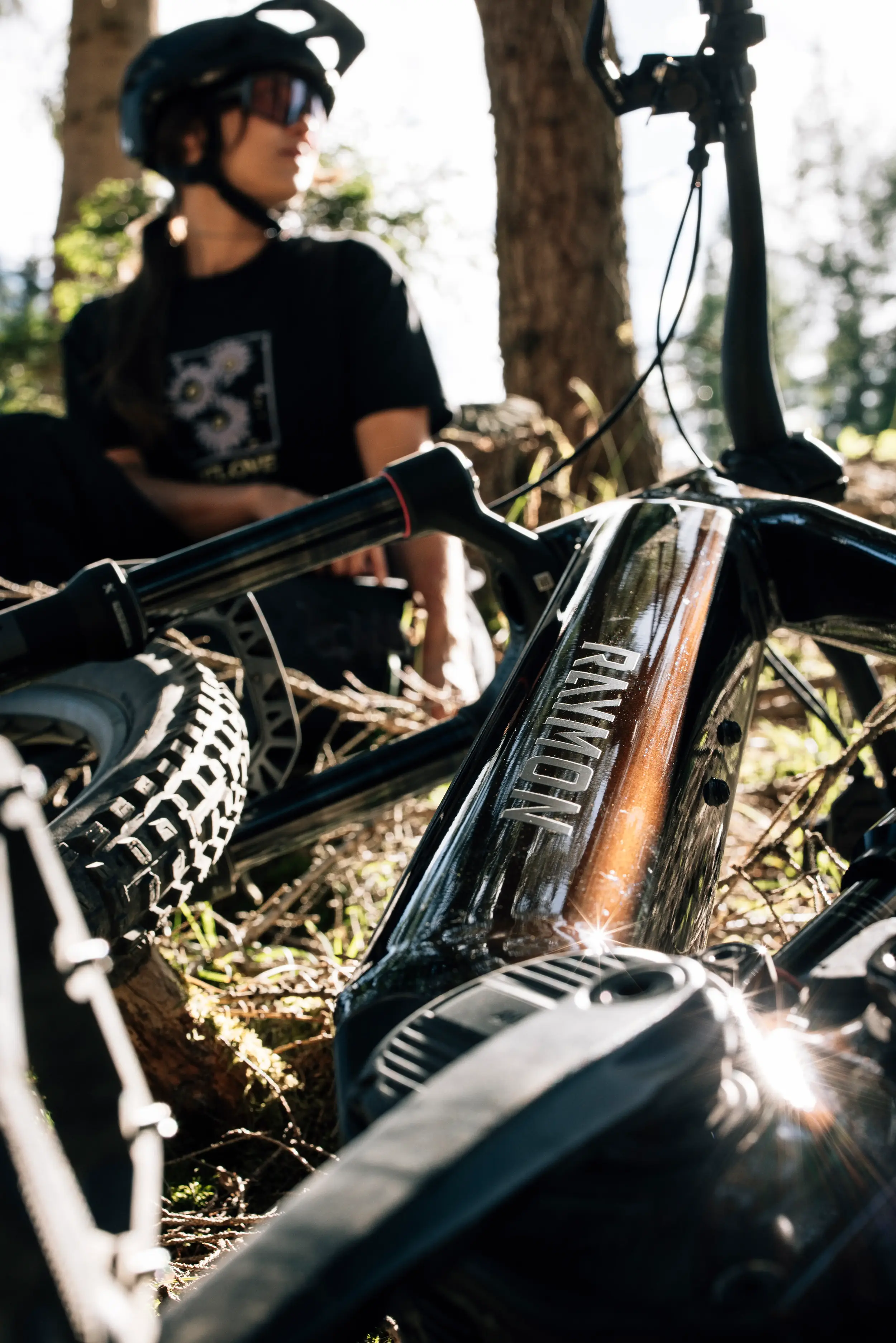 raymon e-biky, avinox motor