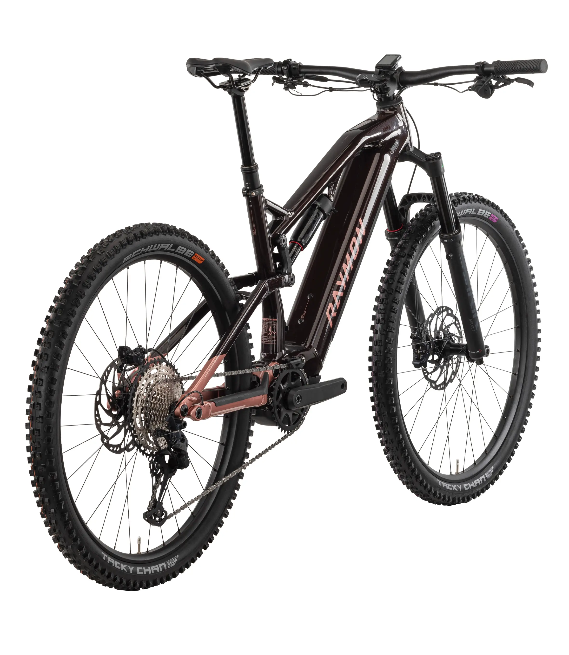 Elektrobicykel RAYMON Trailray 150 Pro