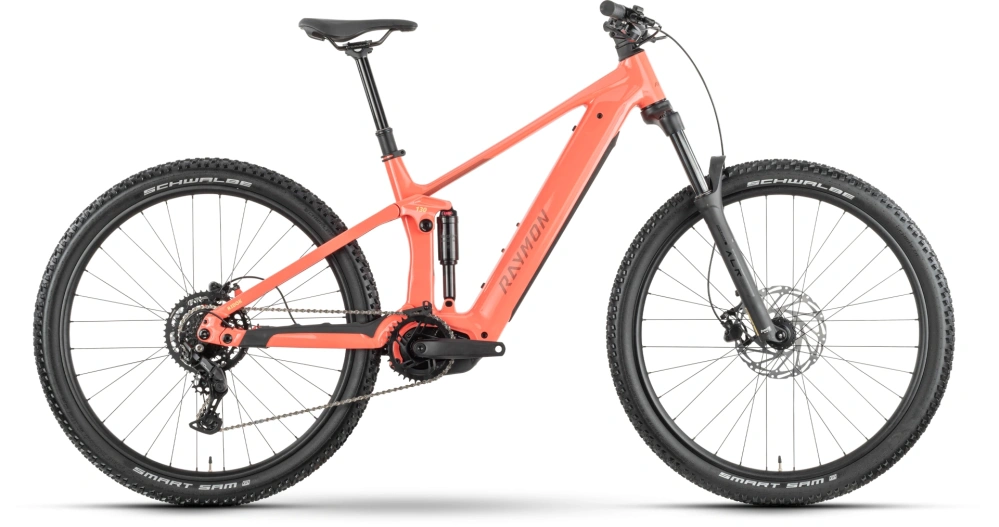 Elektrobicykel RAYMON Ridok Comp