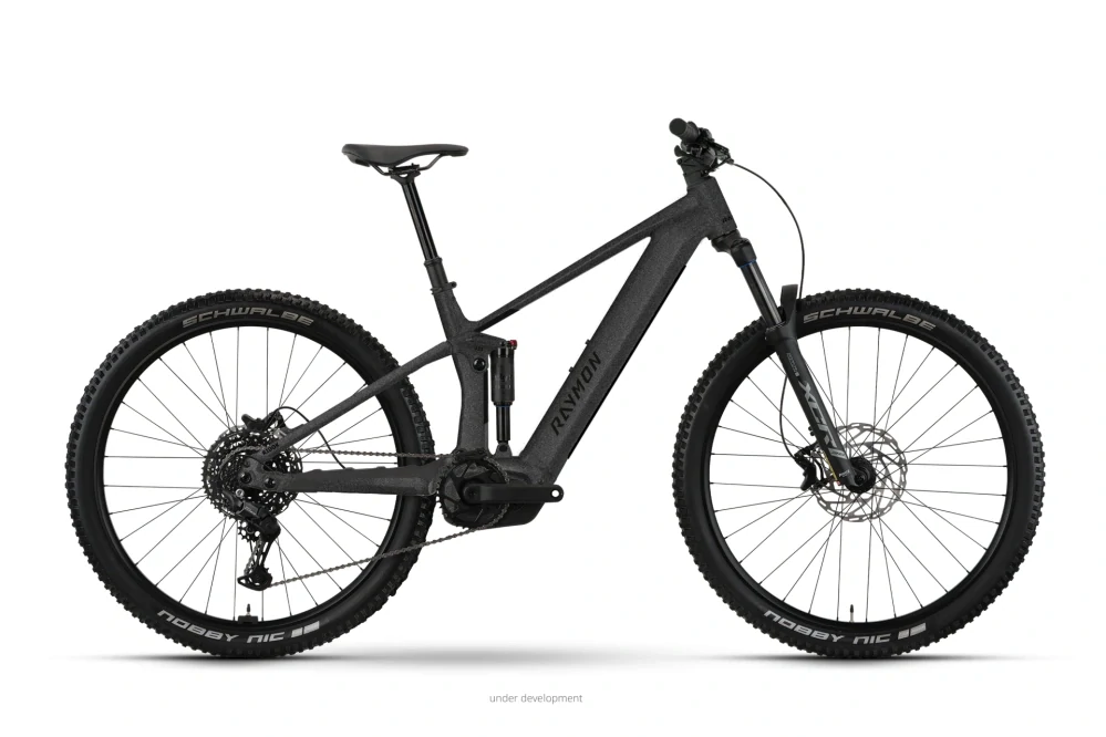 Elektrobicykel RAYMON Ridok Comp