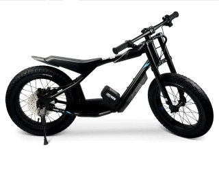 Elektrické odrážadlo STACYC 16hDRIVE