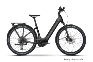Elektrobicykel RAYMON Tourray Ultimate Wave