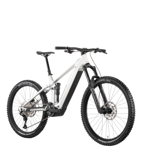 Elektrobicykel RAYMON Vamok Comp
