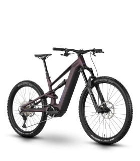 Elektrobicykel RAYMON Ravor Comp