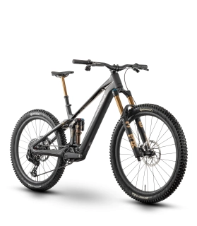 Elektrobicykel RAYMON Tarok Ultimate