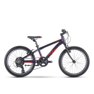 RAYMON TwoRay 1.0 20"x27cm 7S Tourney fialový