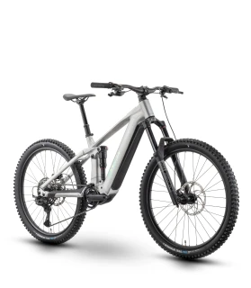 Elektrobicykel RAYMON Durak Pro